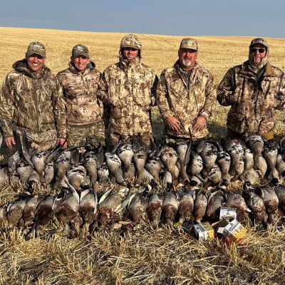 How to Drop 300 Snow Geese in One Day