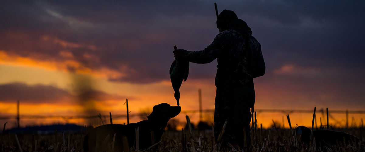 silhouette hunter holding duck next to a dog