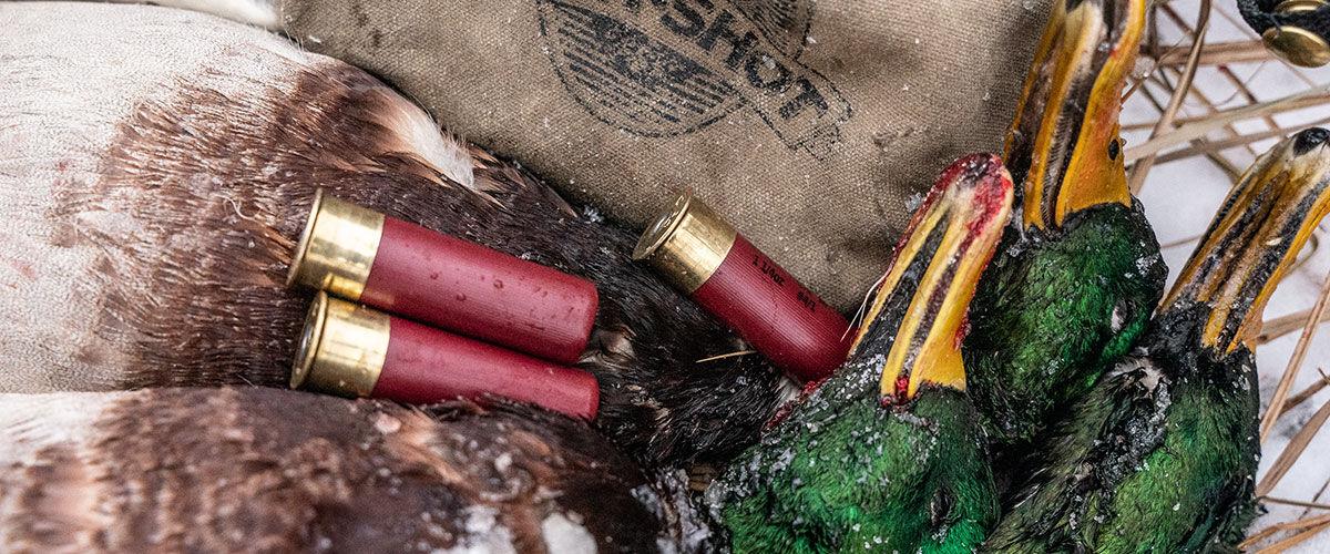 dead ducks with HEVI shotshells