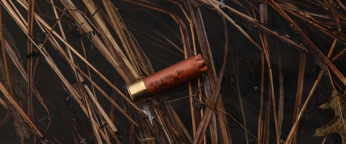 shotshell laying in reeds