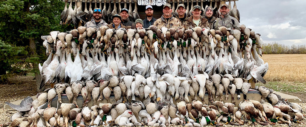 hunters behind massive stack of waterfowl