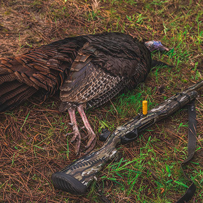Opening Day of Turkey Season