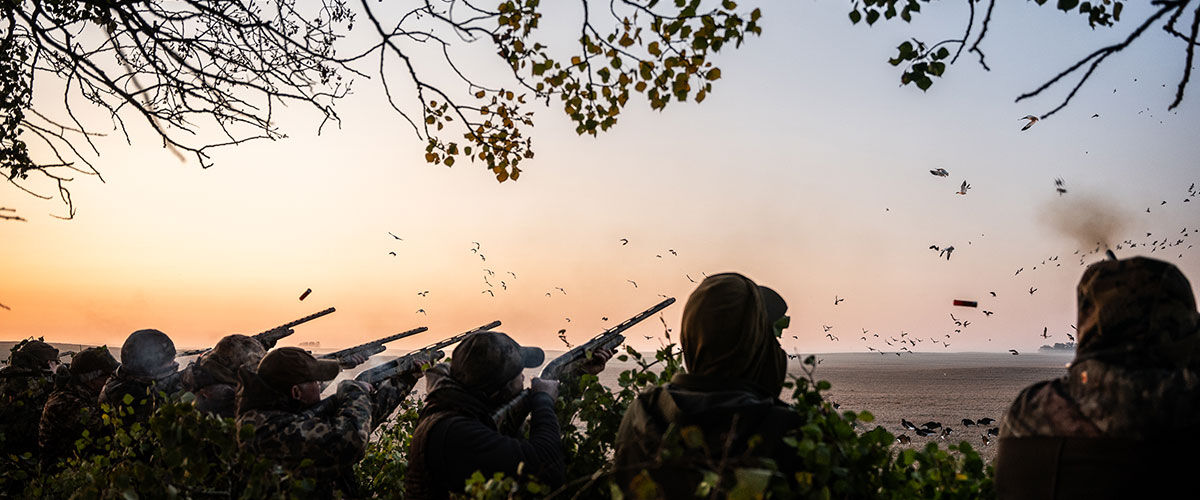 multiple hunters aiming shotguns at flying ducks