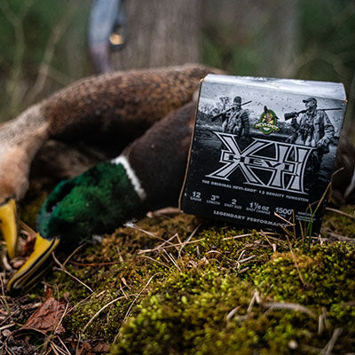 Best Shot Size for Duck Hunting