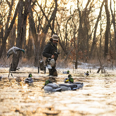 How to Choose the Best Waterfowl Ammo for Ducks & Geese